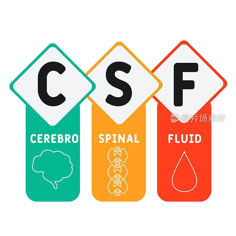 CSF -脑脊液的缩写